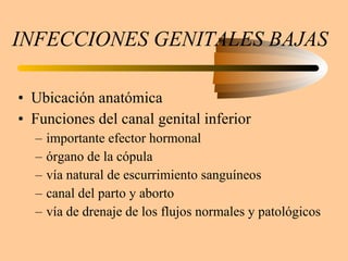 INFECCIONES GENITALES BAJAS Ubicación anatómica Funciones del canal genital inferior importante efector hormonal órgano de la cópula vía natural de escurrimiento sanguíneos canal del parto y aborto vía de drenaje de los flujos normales y patológicos 