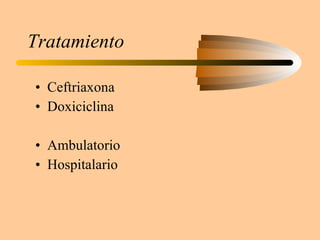 Tratamiento Ceftriaxona  Doxiciclina Ambulatorio Hospitalario 