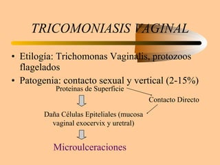 TRICOMONIASIS VAGINAL Etilogía: Trichomonas Vaginalis, protozoos flagelados  Patogenia: contacto sexual y vertical (2-15%) Proteínas de Superficie Daña Células Epiteliales (mucosa vaginal exocervix y uretral) Microulceraciones Contacto Directo 