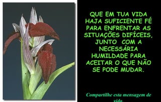 . QUE EM TUA VIDA HAJA SUFICIENTE FÉ PARA ENFRENTAR AS SITUAÇÕES DIFÍCEIS, JUNTO  COM A NECESSÁRIA HUMILDADE PARA ACEITAR O QUE NÃO SE PODE MUDAR. Compartilhe esta mensagem de vida. 