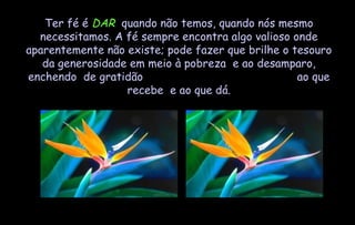 Ter fé é  DAR   quando não temos, quando nós mesmo necessitamos. A fé sempre encontra algo valioso onde aparentemente não existe; pode fazer que brilhe o tesouro da generosidade em meio à pobreza  e ao desamparo, enchendo  de gratidão  ao que recebe  e ao que dá. 