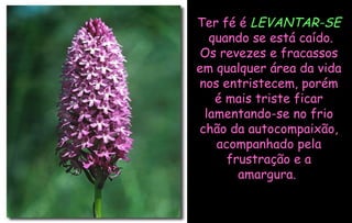 Ter fé é  LEVANTAR-SE  quando se está caído. Os revezes e fracassos em qualquer área da vida nos entristecem, porém é mais triste ficar lamentando-se no frio chão da autocompaixão, acompanhado pela frustração e a amargura.  