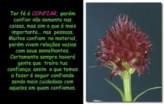 Ter fé é  CONFIAR ,   porém confiar não somente nas coisas, mas sim o que é mais importante... nas  pessoas. Muitos confiam  no material, porém vivem relações vazias com seus semelhantes. Certamente sempre haverá gente que  traíra tua confiança; assim  o que temos a fazer é seguir confiando sendo mais cuidadoso com aqueles em quem confiamos. 