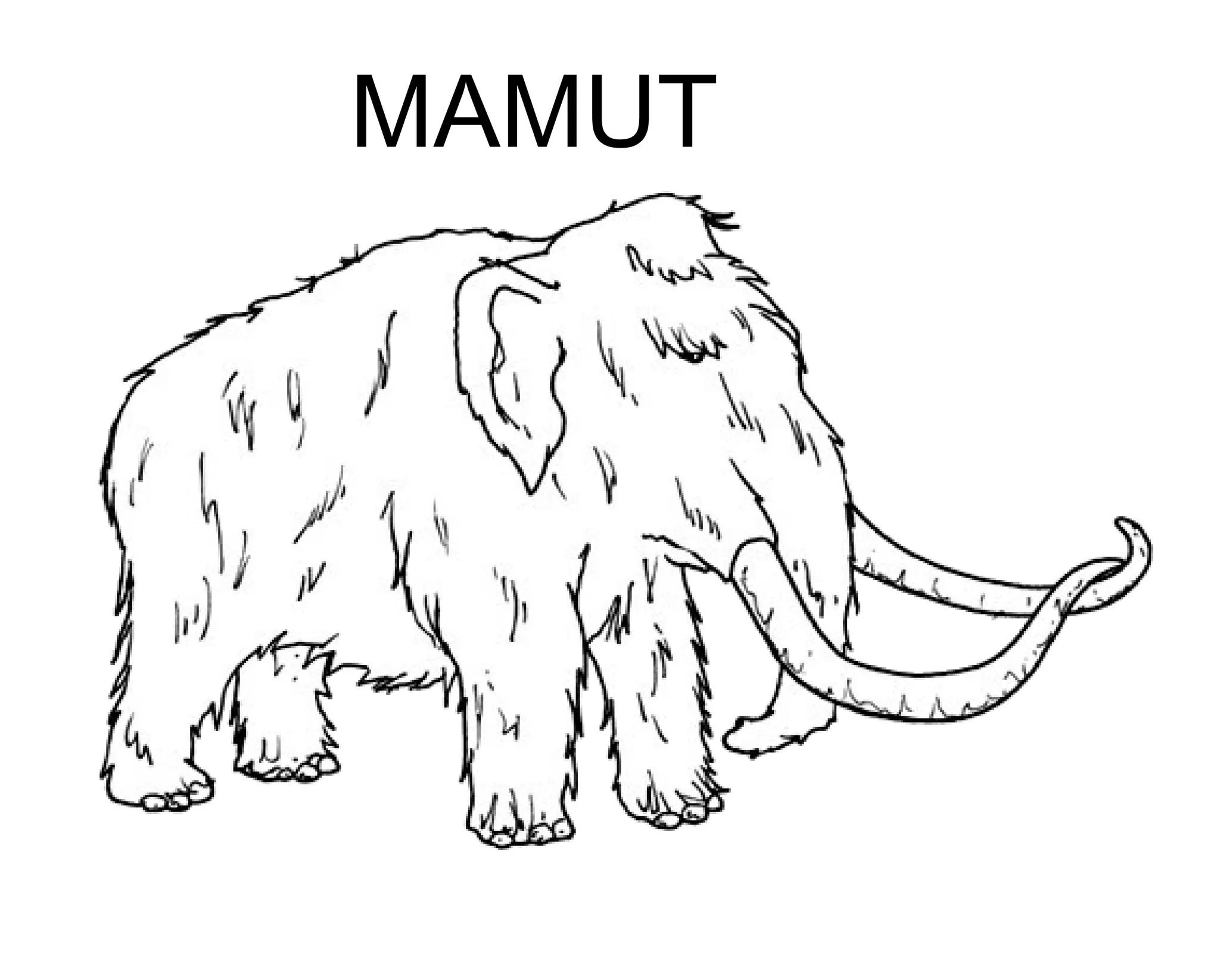 MAMUT