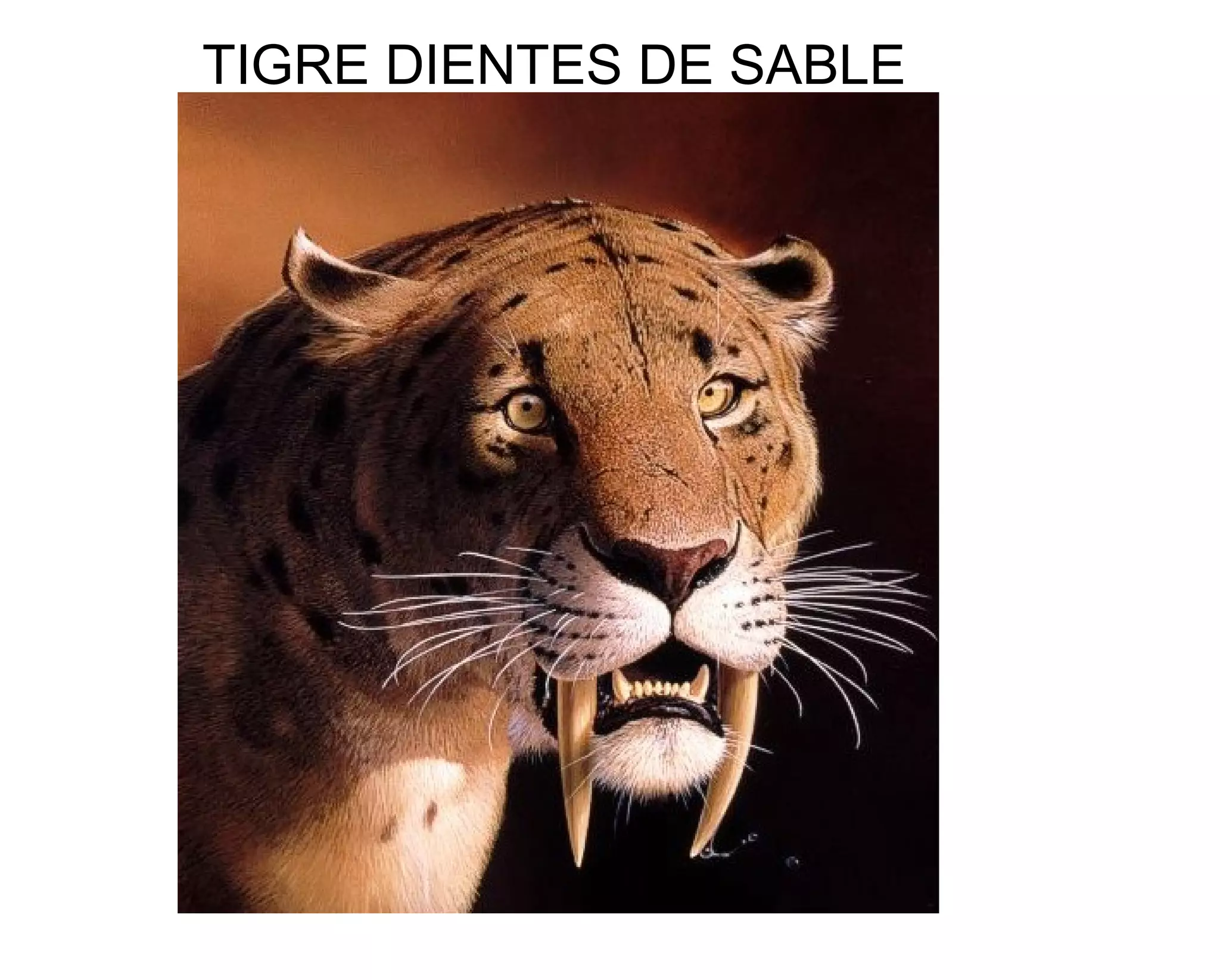 TIGRE DIENTES DE SABLE