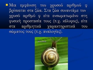  Μια εμφάνιση του χρυσού αριθμού φΜια εμφάνιση του χρυσού αριθμού φ
βρίσκεται στα ζώα. Στα ζώα συναντάμε τονβρίσκεται στα ζώα. Στα ζώα συναντάμε τον
χρυσό αριθμό φ είτε ενσωματωμένο στηχρυσό αριθμό φ είτε ενσωματωμένο στη
φυσικήφυσική προστασία τους (π.χ. κέλυφος), είτεπροστασία τους (π.χ. κέλυφος), είτε
σταστα αριθμητικά χαρακτηριστικά τουαριθμητικά χαρακτηριστικά του
σώματος τους (π.χ. αναλογίες).σώματος τους (π.χ. αναλογίες).
 