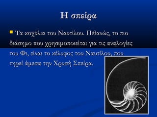 Η σπείραΗ σπείρα
 Τα κοχύλια του Ναυτίλου. Πιθανώς, το πιοΤα κοχύλια του Ναυτίλου. Πιθανώς, το πιο
διάσημο που χρησιμοποιείται για τις αναλογίεςδιάσημο που χρησιμοποιείται για τις αναλογίες
του Φι, είναι το κέλυφος του Ναυτίλου, πουτου Φι, είναι το κέλυφος του Ναυτίλου, που
τηρεί άμεσα την Χρυσή Σπείρα.τηρεί άμεσα την Χρυσή Σπείρα.
 