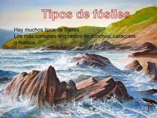 Hay muchos tipos de fósiles
Los más comunes son restos de conchas, caracoles
o huesos
 