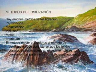 METODOS DE FOSILIZACIÓN
Hay muchos metdos de fosiliczación:
Petrificación
Momificación
Inclusión
Molde
Impresión
El metodo mayor utilizado es el metodo de
petrificacion que consiste en que los tejidos
blandos se desintegren en el sedimento y se
conserven las partes más duras(huesos, conchas)
 