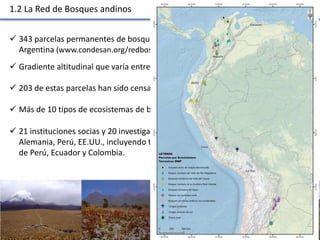 Las redes andinas de investigación- observatorios de largo plazo para llenar brechas de conocimiento 