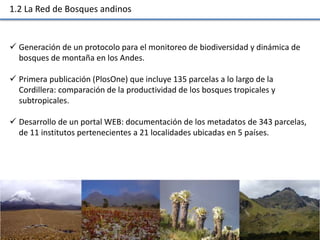 Las redes andinas de investigación- observatorios de largo plazo para llenar brechas de conocimiento 