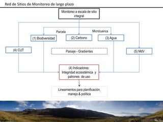 Las redes andinas de investigación- observatorios de largo plazo para llenar brechas de conocimiento 