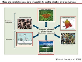 Las redes andinas de investigación- observatorios de largo plazo para llenar brechas de conocimiento 