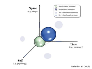 Las redes andinas de investigación- observatorios de largo plazo para llenar brechas de conocimiento 