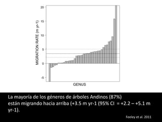 Las redes andinas de investigación- observatorios de largo plazo para llenar brechas de conocimiento 