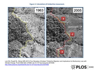 Las redes andinas de investigación- observatorios de largo plazo para llenar brechas de conocimiento 