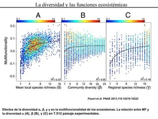 Las redes andinas de investigación- observatorios de largo plazo para llenar brechas de conocimiento 