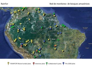 Las redes andinas de investigación- observatorios de largo plazo para llenar brechas de conocimiento 