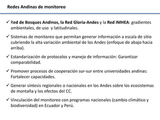 Las redes andinas de investigación- observatorios de largo plazo para llenar brechas de conocimiento 