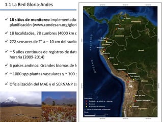 Las redes andinas de investigación- observatorios de largo plazo para llenar brechas de conocimiento 