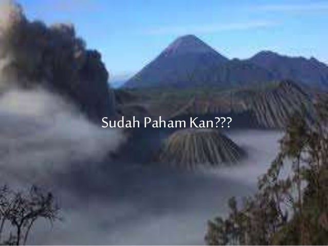 F. menelaah dan merevisi teks eksposisi