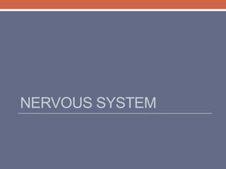 NERVOUS SYSTEM 
 
