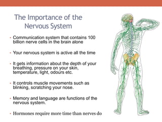 The Importance of the 
Nervous System 
• Communication system that contains 100 
billion nerve cells in the brain alone 
• Your nervous system is active all the time 
• It gets information about the depth of your 
breathing, pressure on your skin, 
temperature, light, odours etc. 
• It controls muscle movements such as 
blinking, scratching your nose. 
• Memory and language are functions of the 
nervous system. 
• Hormones require more time than nerves do 
 