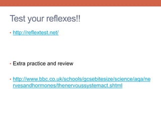 Test your reflexes!! 
• http://reflextest.net/ 
• Extra practice and review 
• http://www.bbc.co.uk/schools/gcsebitesize/science/aqa/ne 
rvesandhormones/thenervoussystemact.shtml 
