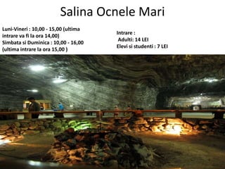 Salina Ocnele Mari
Luni-Vineri : 10,00 - 15,00 (ultima
intrare va fi la ora 14,00)
Simbata si Duminica : 10,00 - 16,00
(ultima intrare la ora 15,00 )
Intrare :
Adulti: 14 LEI
Elevi si studenti : 7 LEI
 