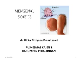 MENGENAL
SKABIES
dr. Ricka Fitriyana Pramitasari
PUSKESMAS KAJEN 1
KABUPATEN PEKALONGAN
30 March 2015 1
 