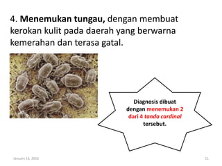 4. Menemukan tungau, dengan membuat
kerokan kulit pada daerah yang berwarna
kemerahan dan terasa gatal.
January 13, 2016 11
Diagnosis dibuat
dengan menemukan 2
dari 4 tanda cardinal
tersebut.
 