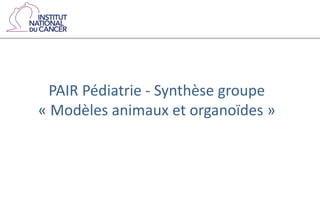 PAIR Pédiatrie - Synthèse groupe
« Modèles animaux et organoïdes »
 