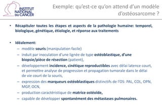 Exemple: qu’est-ce qu’on attend d’un modèle
d’ostéosarcome ?
• Récapituler toutes les étapes et aspects de la pathologie humaine: temporel,
biologique, génétique, étiologie, et réponse aux traitements
• Idéalement:
– modèle souris (manipulation facile)
– induit par inoculation d’une lignée de type ostéoblastique, d’une
biopsie/pièce de résection (patient),
– développement incidence, cinétique reproductibles avec délai latence court,
et permettre analyse de progression et propagation tumorale dans le délai
de vie court de la souris,
– expression des marqueurs ostéoblastiques distinctifs de l’OS: PAL, COL, OPN,
MGP, OCN,
– production caractéristique de matrice ostéoïde,
– capable de développer spontanément des métastases pulmonaires.
 