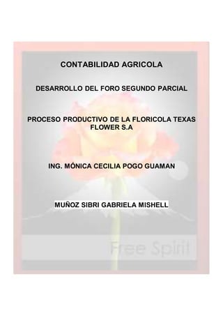 CONTABILIDAD AGRICOLA
DESARROLLO DEL FORO SEGUNDO PARCIAL
PROCESO PRODUCTIVO DE LA FLORICOLA TEXAS
FLOWER S.A
ING. MÓNICA CECILIA POGO GUAMAN
MUÑOZ SIBRI GABRIELA MISHELL
 