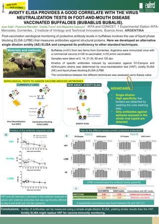 1
Post-vaccination serological monitoring of protective antibody levels in buffaloes involves the use of liquid phase
blocking ELISA (LPBE) that measures antibodies against structural proteins. Here we developed an alternative
single dilution avidity (AE) ELISA and compared its proficiency to other standard techniques.
▪ Buffaloes (n=91) from two farms from Corrientes, Argentina were immunized once with
a commercial vaccine (n=58 re-vaccinated; n=33 primo vaccinated).
▪ Samples were taken at 0, 14, 21,30, 60 and 120 dpv
▪ Kinetics of specific antibodies induced by vaccination against O1/Campos and
A24/cruzeiro strains was determined by virus-neutralization test (VNT), avidity ELISA
(AE) and liquid phase blocking ELISA (LPBE
▪ The concordance between the different techniques was assessed using Kappa value
Materials and methods
Juan Sala1 ,Florencia Mansilla2, Cecilia Turco2 and Alejandra Capozzo2 . INTA and CONICET. 1 Experimental Station INTA-
Mercedes, Corrientes.. 2 Institute of Virology and Technical Innovations. Buenos Aires. ARGENTINA
Anti-IgG
CURRENTLY USED
ADVANTAGES
✓ Single dilution
✓ High specificity: low
binders are detached by
washing the urea washing
step.
✓ Only antibodies against
epitopes exposed in the
whole viral capsid are
detected
NEW ASSAY: AVIDITY ELISA
SEROLOGICAL TESTS TO ASSESS VACCINE-INDUCED ANTIBODIES
VNT and AE detected a decrease in the antibody response of
calves with maternal antibodies that was significantly different
on day 0 and at 90 and 120 dpv (panel A)
0 14 28 42 56 70 84 98 112 126
1
2
3
4
A24 Cruz/ Farm B
A24 Cruz/ Farm A
Days post-vaccination
VNTtiter
*
0 14 28 42 56 70 84 98 112 126
0.00
0.25
0.50
0.75
1.00
*
Days post-vaccination
AE-OD
0 14 28 42 56 70 84 98 112 126
1
2
3
4
5
6
Days post-vaccination
LPBEtiter
A
Kinetics of the antibody response using
VNT
Avidity
LPBE
A substantial concordance was found between AE and VNT (C)
C
O1/CAMPOS A24/Cruzeiro
AIDITY ELISA 0.66 0.76 Substancial concordance
Liquid-Phase Blocking ELISA 0.55 0.56 Moderate concordance
KAPPA VALUE
Concoordance with VNT results
LPBE overestimated the antibody levels (panel B)
How do the different assays predict protective antibodies?
B
Farm A Farm B
Conclusions: Avidity of antibodies can be measured using a simple single-dilution ELISA, yielding similar results than the VNT.
Avidity ELISA might replace VNT for vaccine-immunity monitoring.
 