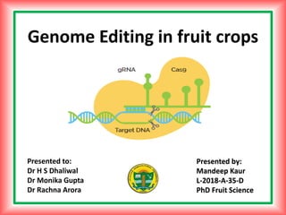 M K SAINI
Presented by:
Mandeep Kaur
L-2018-A-35-D
PhD Fruit Science
Presented to:
Dr H S Dhaliwal
Dr Monika Gupta
Dr Rachna Arora
Genome Editing in fruit crops
 