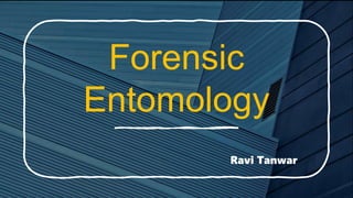 Forensic
Entomology
Ravi Tanwar
 