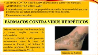 • ACTIVAS CONTRA VIRUS a ADN (Especialmente contra virus hepaticos)
• ACTIVAS CONTRA VIRUS a ARN
• Los interferones, sustancias con propiedades antivirales, inmunomoduladores y anti
proliferativas que actúan principalmente sobre la célula huésped.
• Fármaco antirretrovirales.
Existen siete herpes virus humanos (hvh)
y causan amplio espectro de
enfermedades.
Un octavo, el hvh-8, ha sido propuesto
recientemente como la causa del
sarcoma de Kaposi y del linfoma de
cavidades profundas del organismo en
pacientes con infección VIH-1.
FÁRMACOS CONTRA VIRUS HERPÉTICOS
Sarcoma de Kaposi
 