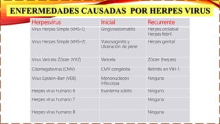 Herpesvirus Inicial Recurrente
Virus Herpes Simple (VHS–1) Gingivoestomatitis Herpes orolabial
Herpes febril
Virus Herpes Simple (VHS–2) Vulvovaginitis y
Ulceración de pene
Herpes genital
Virus Varicela Zóster (VVZ) Varicela Zóster (herpes)
Citomegalovirus (CMV) CMV congénita Retinitis en VIH-1
Virus Epstein-Barr (VEB) Mononucleosis
infecciosa
Ninguna
Herpes virus humano 6 Exantema súbito Ninguno
Herpes virus humano 7 Ninguna
Herpes virus humano 8 Ninguna
ENFERMEDADES CAUSADAS POR HERPES VIRUS
 