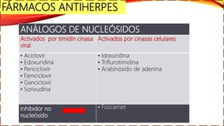 Activados por timidin cinasa
viral
Activados por cinasas celulares
• Aciclovir
• Edoxuridina
• Penciclovir
• Famciclovir
• Ganciclovir
• Sorivudina
• Idoxuridina
• Triflurotimidina
• Arabinósido de adenina
Inhibidor no
nucleósido
• Foscarnet
ANÁLOGOS DE NUCLEÓSIDOS
FÁRMACOS ANTIHERPES
 