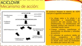 ACICLOVIR
Mecanismo de acción:
El aciclovir bloquea la síntesis de ADN
viral por el siguiente mecanismo:
• La droga entra a la célula y es
fosforilada a monofosfato de
aciclovir por una enzima viral: la
timidincinasa. La timidincinasa del
huésped cataliza esta reacción a una
velocidad mucho menor.
• Cinasas celulares transforman el
monofosfato en difosfato y trifosfato
de aciclovir
• El trifosfato de aciclovir: inhibe en
forma competitiva la ADN
polimerasa viral, se incorpora al ADN
en donde actúa como un terminador
de cadena por carecer del 3-oh.
 