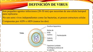 DEFINICIÓN DE VIRUS
Son pequeños agentes infecciosos (20-30 nm) que necesitan de una célula huésped
para replicarse.
No son seres vivos independientes como las bacterias, ni poseen estructura celular.
Compuestas por ADN o ARN (nunca los dos)
 
