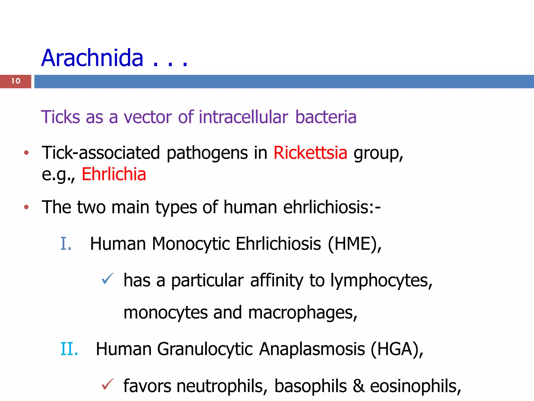 Arachnida . . .
10
• Tick-associated pathogens in Rickettsia group,
e.g., Ehrlichia
• The two main types of human ehrlichiosis:-
I. Human Monocytic Ehrlichiosis (HME),
 has a particular affinity to lymphocytes,
monocytes and macrophages,
II. Human Granulocytic Anaplasmosis (HGA),
 favors neutrophils, basophils & eosinophils,
Ticks as a vector of intracellular bacteria
 