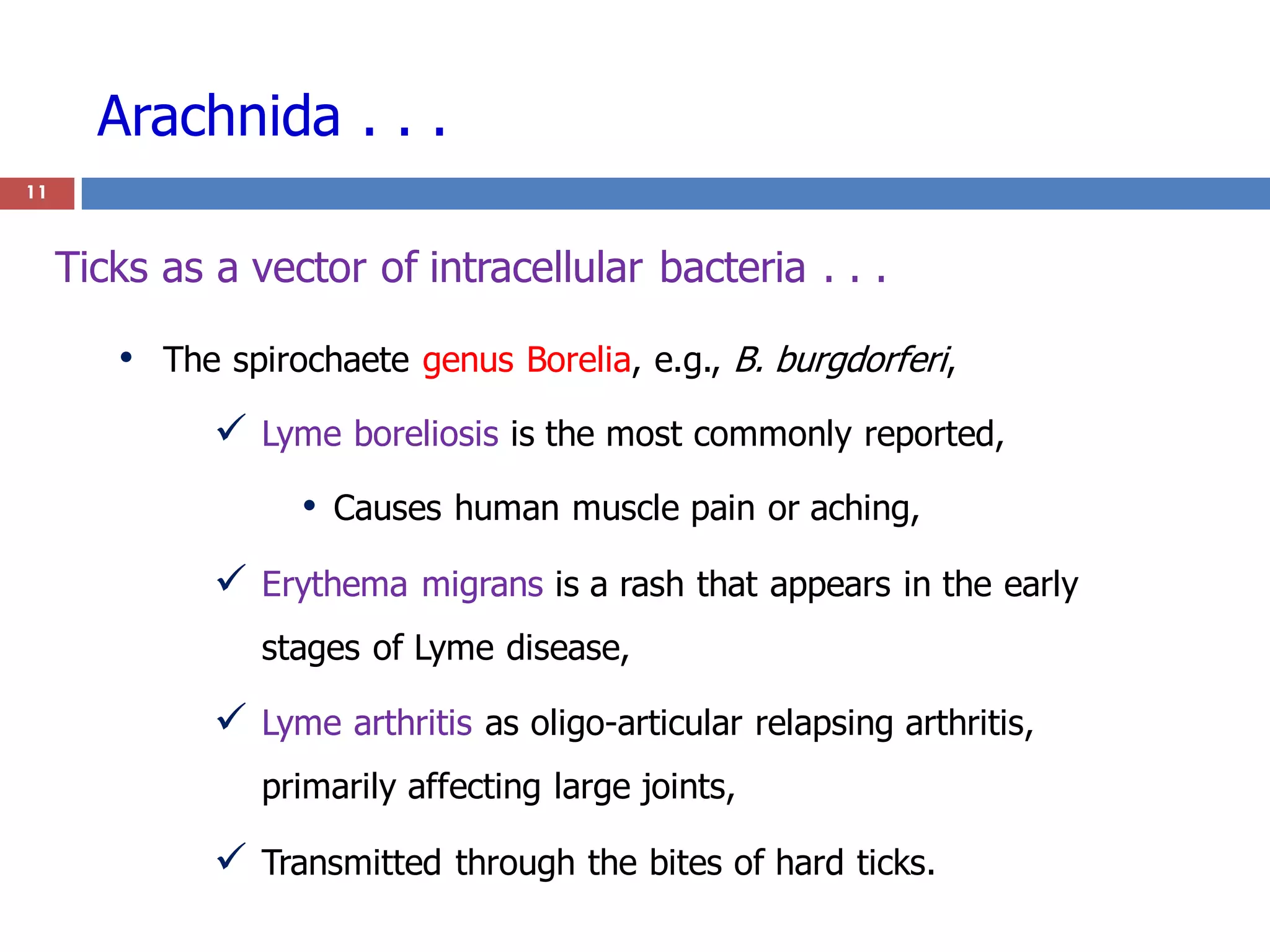 Arachnida . . .
11
• The spirochaete genus Borelia, e.g., B. burgdorferi,
 Lyme boreliosis is the most commonly reported,
• Causes human muscle pain or aching,
 Erythema migrans is a rash that appears in the early
stages of Lyme disease,
 Lyme arthritis as oligo-articular relapsing arthritis,
primarily affecting large joints,
 Transmitted through the bites of hard ticks.
Ticks as a vector of intracellular bacteria . . .
 