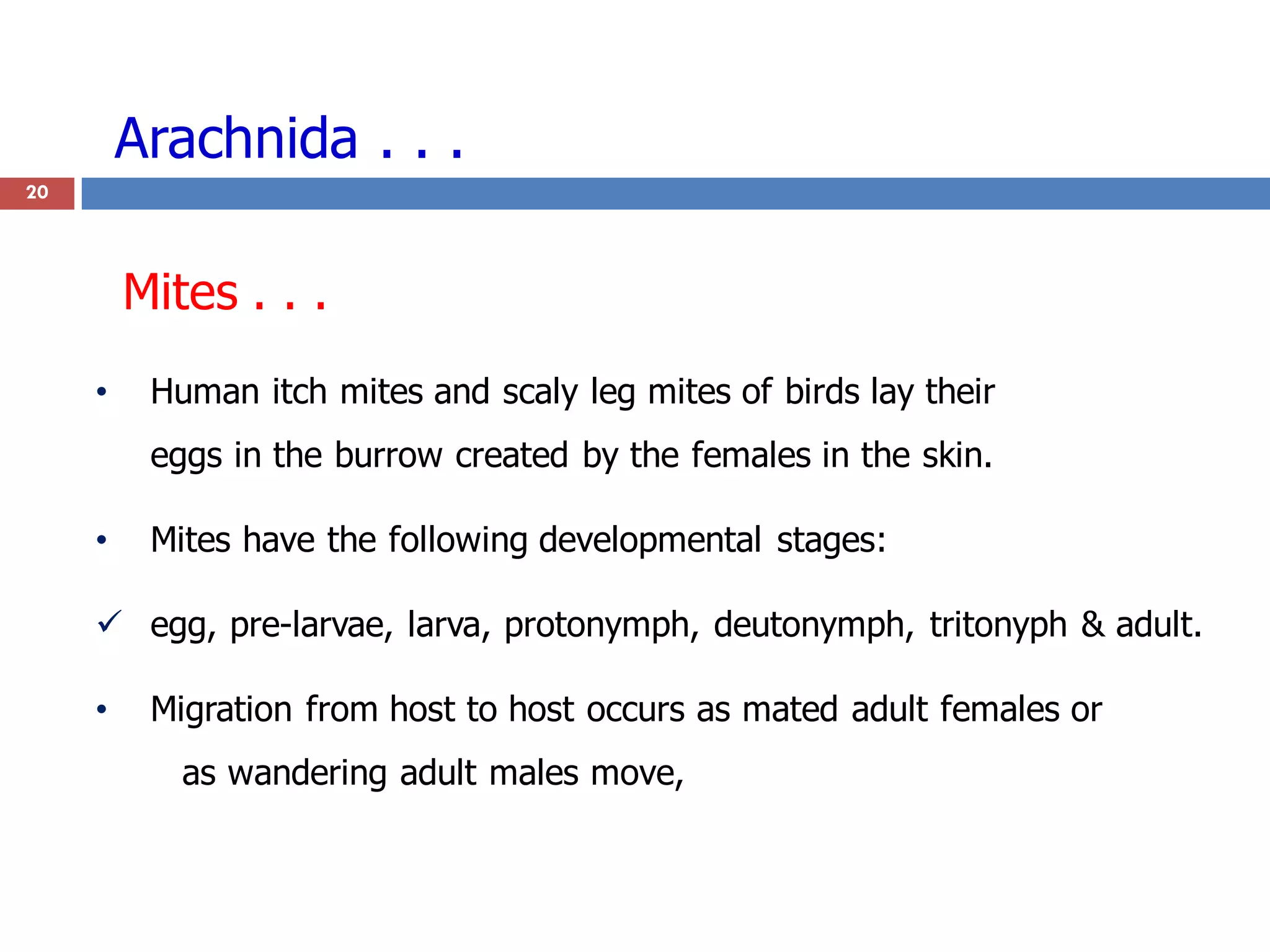 Arachnida . . .
20
• Human itch mites and scaly leg mites of birds lay their
eggs in the burrow created by the females in the skin.
• Mites have the following developmental stages:
 egg, pre-larvae, larva, protonymph, deutonymph, tritonyph & adult.
• Migration from host to host occurs as mated adult females or
as wandering adult males move,
Mites . . .
 