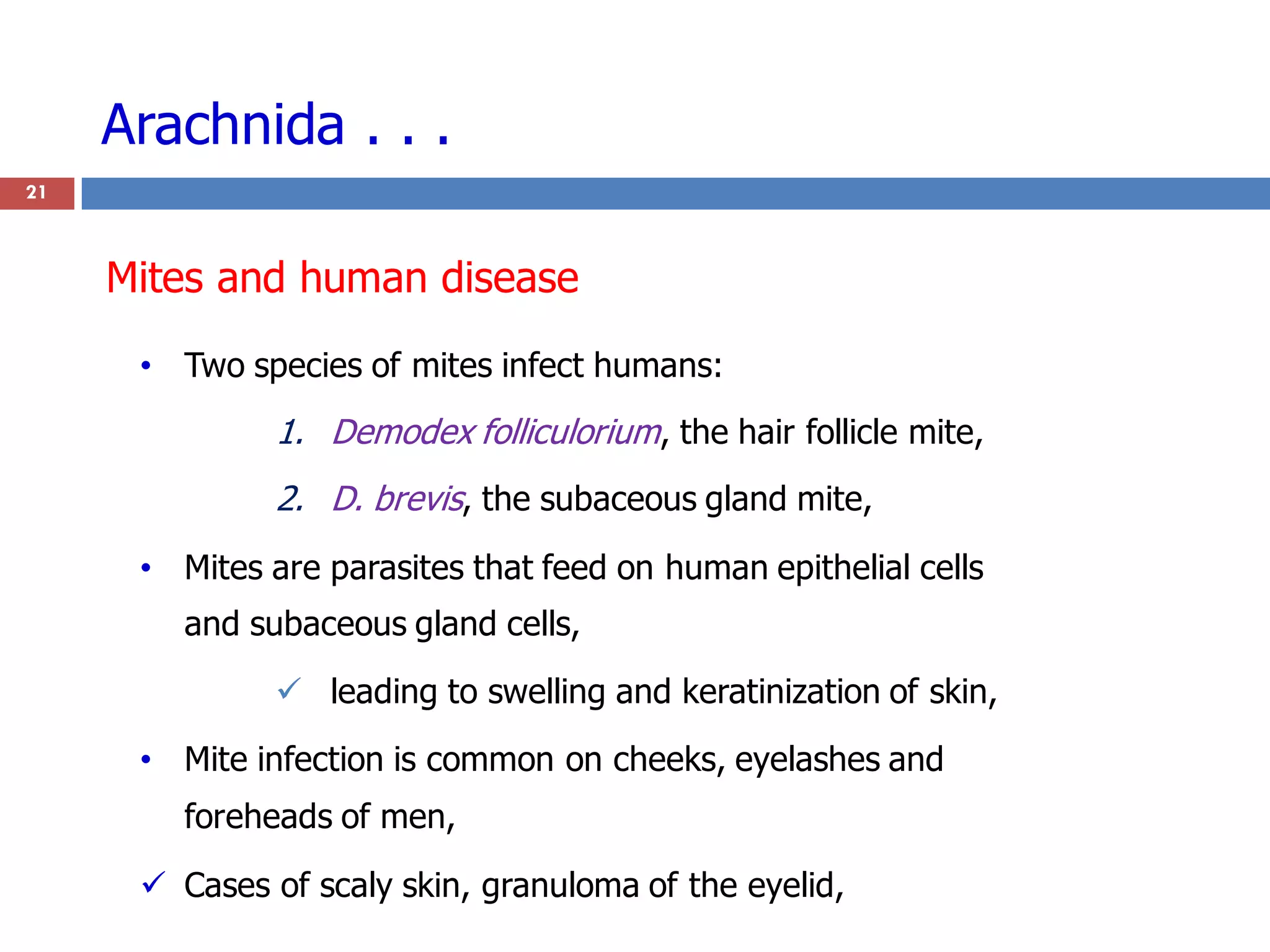 Arachnida . . .
• Two species of mites infect humans:
1. Demodex folliculorium, the hair follicle mite,
2. D. brevis, the subaceous gland mite,
• Mites are parasites that feed on human epithelial cells
and subaceous gland cells,
 leading to swelling and keratinization of skin,
• Mite infection is common on cheeks, eyelashes and
foreheads of men,
 Cases of scaly skin, granuloma of the eyelid,
21
Mites and human disease
 
