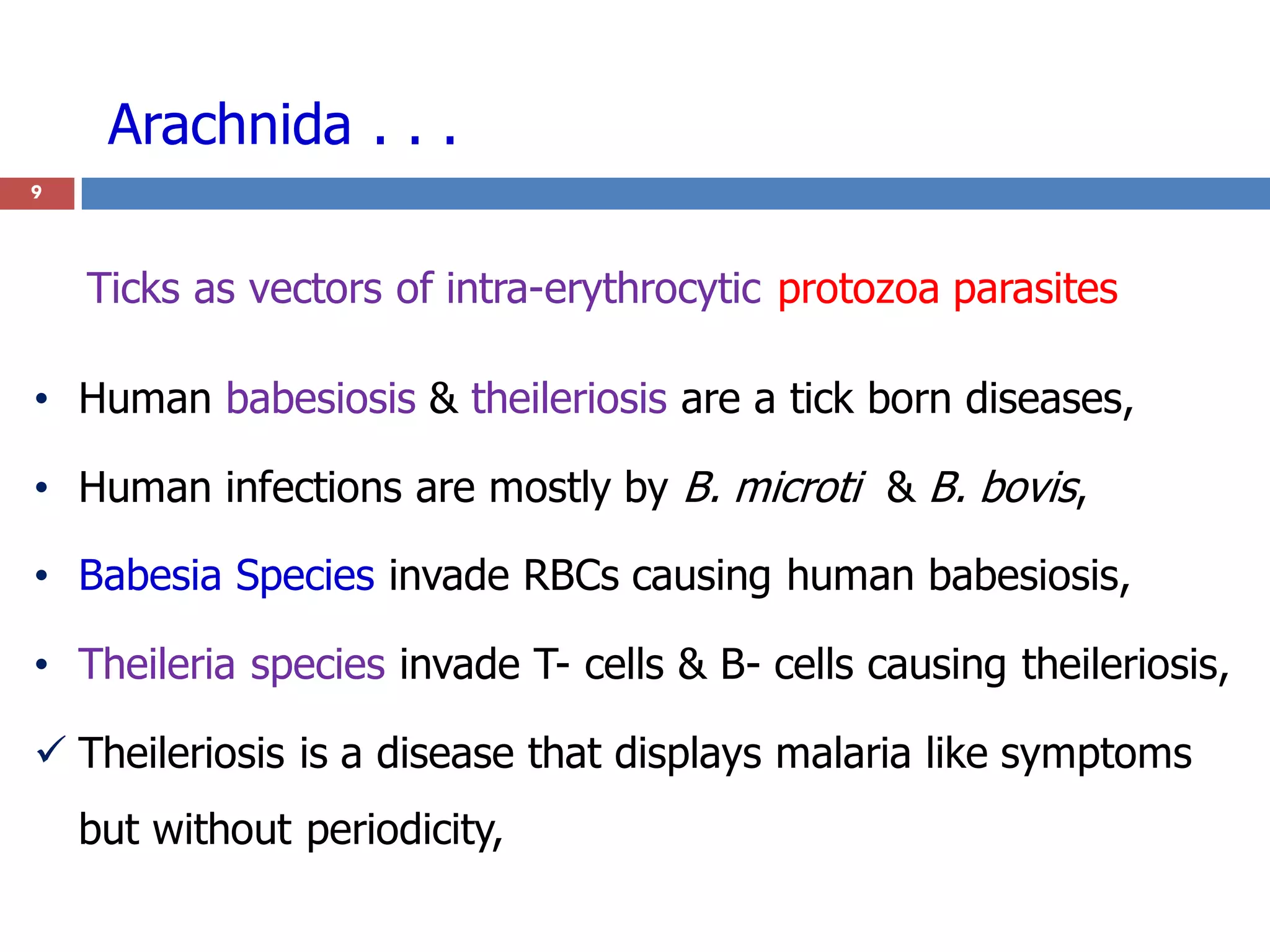 9
• Human babesiosis & theileriosis are a tick born diseases,
• Human infections are mostly by B. microti & B. bovis,
• Babesia Species invade RBCs causing human babesiosis,
• Theileria species invade T- cells & B- cells causing theileriosis,
 Theileriosis is a disease that displays malaria like symptoms
but without periodicity,
Ticks as vectors of intra-erythrocytic protozoa parasites
Arachnida . . .
 