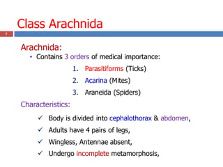 Class Arachnida
1
Arachnida:
• Contains 3 orders of medical importance:
1. Parasitiforms (Ticks)
2. Acarina (Mites)
3. Araneida (Spiders)
Characteristics:
 Body is divided into cephalothorax & abdomen,
 Adults have 4 pairs of legs,
 Wingless, Antennae absent,
 Undergo incomplete metamorphosis,
 