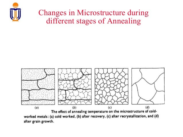 Annealed Brass Microstructure , Metallography and Microstructures of ...
