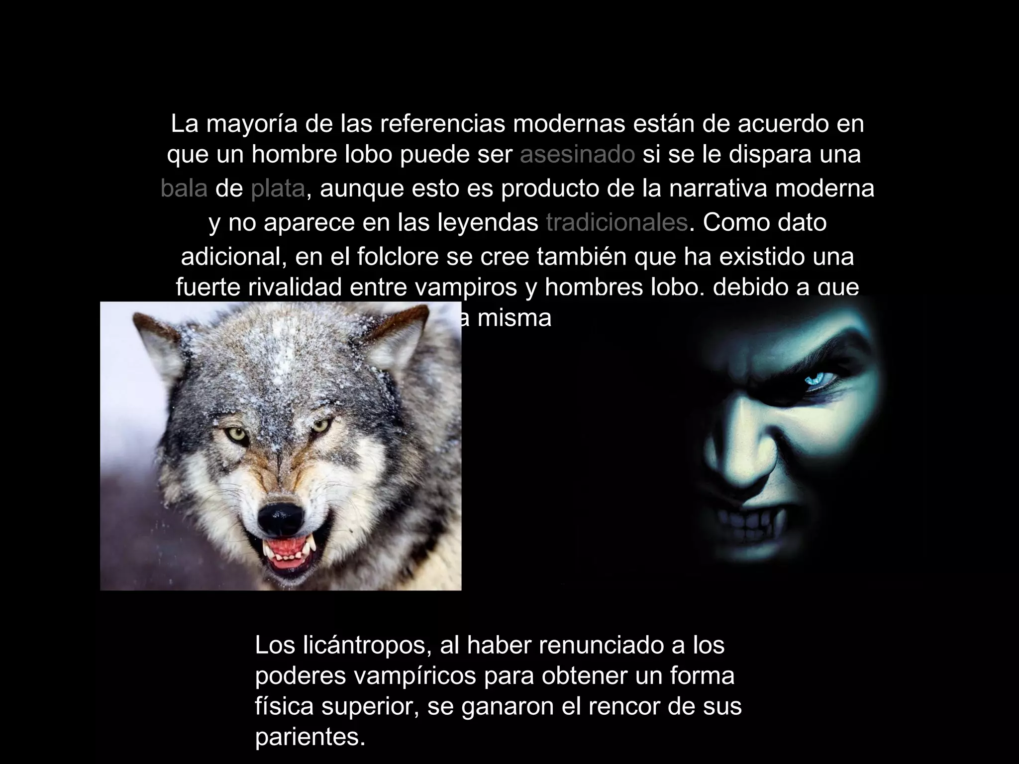 La mayoría de las referencias modernas están de acuerdo en que un hombre lobo puede ser  asesinado  si se le dispara una  bala  de  plata , aunque esto es producto de la narrativa moderna y no aparece en las leyendas  tradicionales . Como dato adicional, en el folclore se cree también que ha existido una fuerte rivalidad entre vampiros y hombres lobo, debido a que pertenecen a una misma raza de criaturas.  Los licántropos, al haber renunciado a los poderes vampíricos para obtener un forma física superior, se ganaron el rencor de sus parientes.  